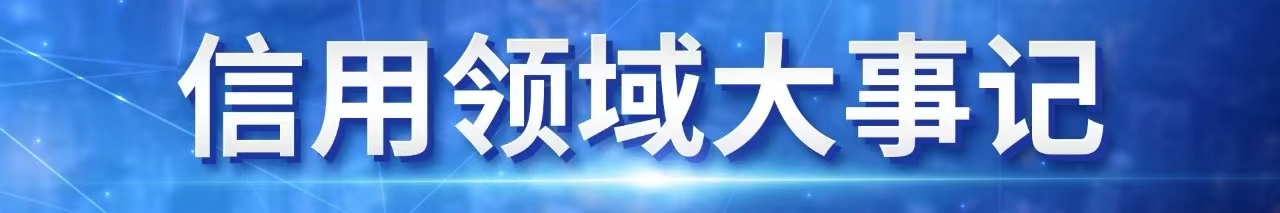 失信被执行人的影响和后果